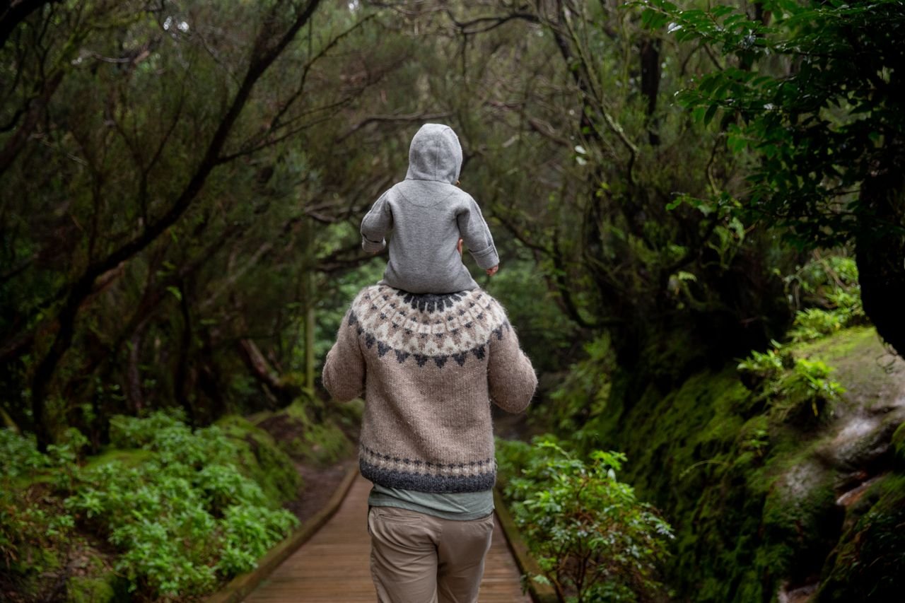 A father carrying his baby on his shoulders along a forest path, seen from behind